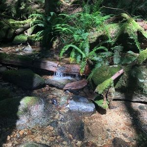 Meet your Posher, Cathy